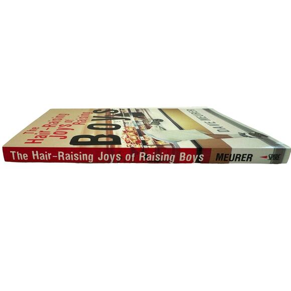 The Hair-Raising Joys of Raising Boys by Dave Meurer (2006, Paperback) - Picture 3 of 6